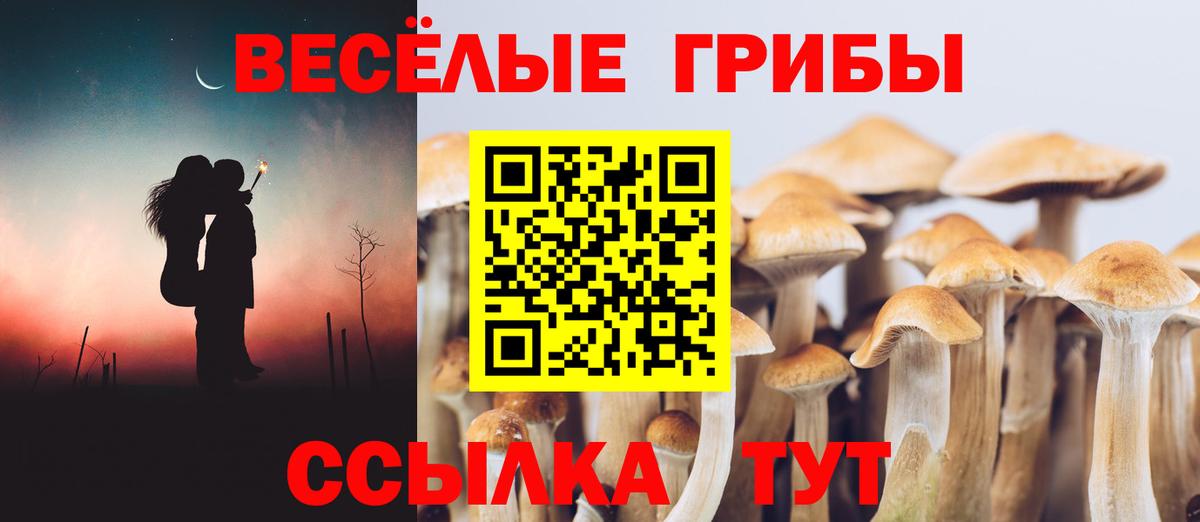 Псилоцибиновые грибы MAGIC MUSHROOMS  Вход с VPN  купить   Мытищи 